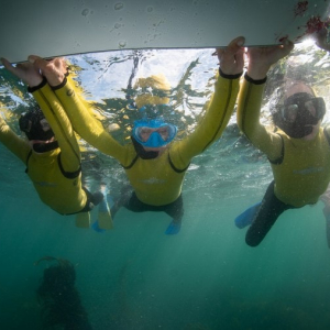 2024.03.23-Kaikoura Snorkel Day-03058_760x507 2024.03.23-Kaikoura Snorkel Day-03058_760x507