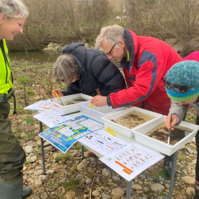Dovedale cbfm shmak kate (1)