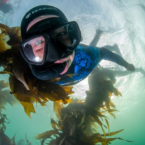 Events-Snorkel-day Events-Snorkel-day