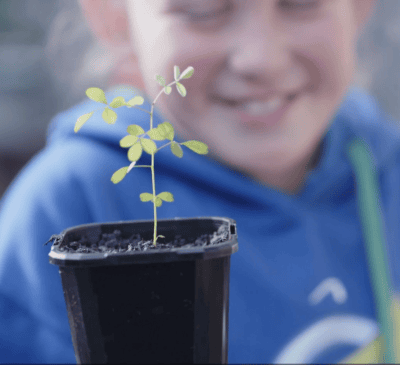 hero 600 nurseries school