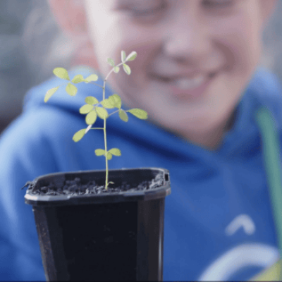 hero 600 nurseries school